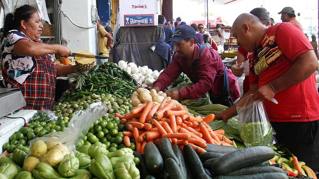 verduras colores