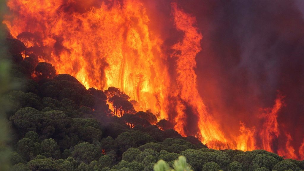 La ola de calor aumenta los incendios en la península