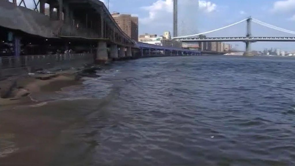 La policía de Nueva York investiga la aparición de un bebé flotando bajo el puente de Brooklyn