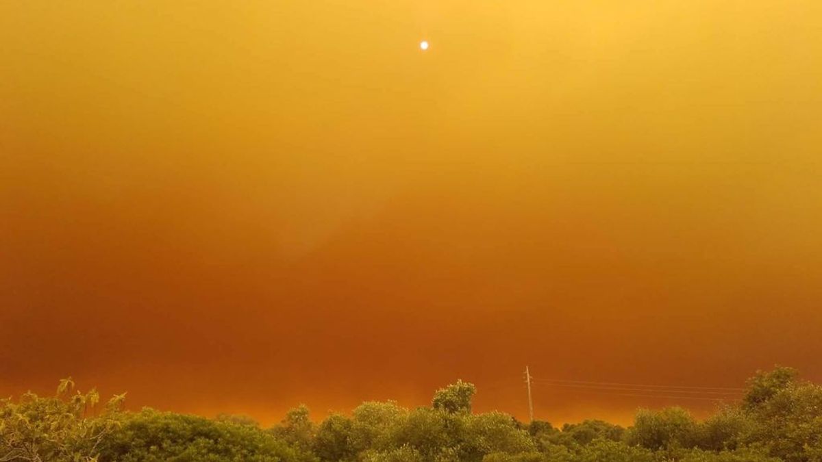 Cielos y bosques grises en Portugal: el fuego sin controla ha calcinado más de 15.000 hectáreas