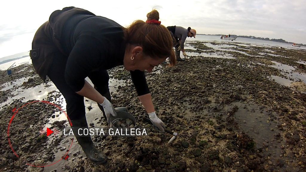 'El verano en el punto de mira' Galicia