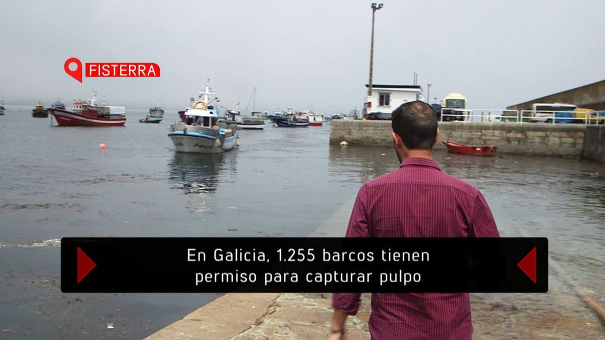 'El verano en el punto de mira' investiga el incremento del turismo en Galicia, el lunes 13 de agosto (22.45) en Cuatro.