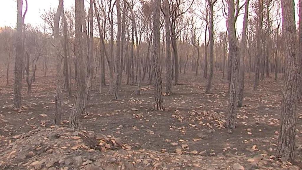 El incendio de Llutxent, estabilizado tras arrasar 3.300 herctáreas