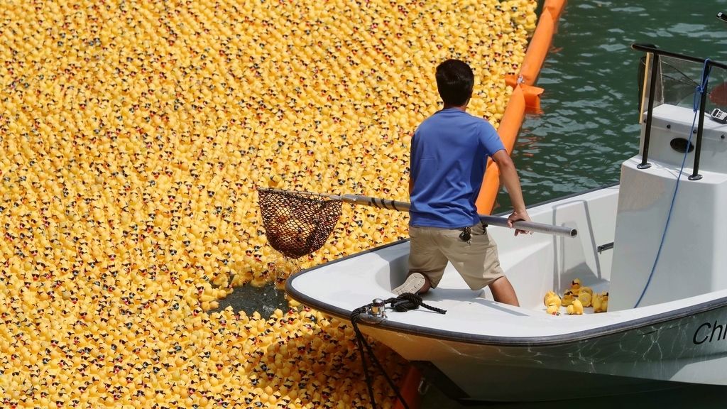 Marea de patitos