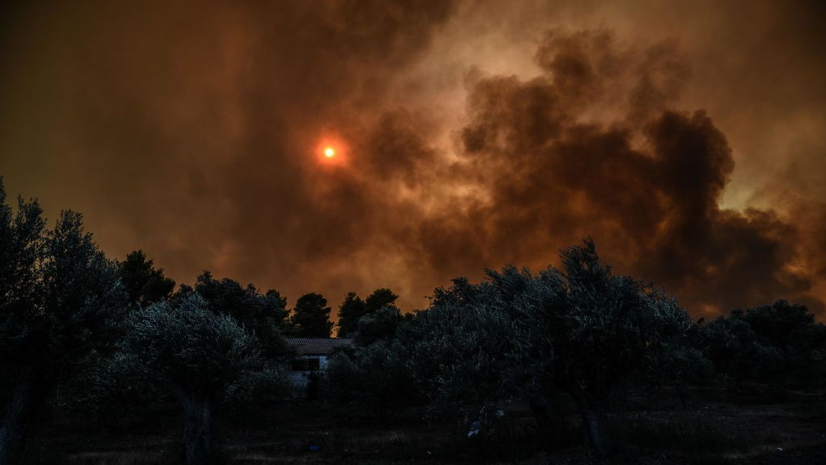 Estado de emergencia en la isla griega de Eubea por un extenso incendio forestal