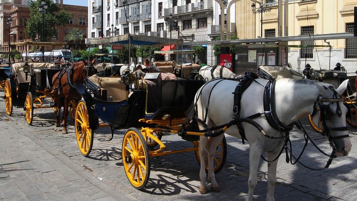 El conductor de un coche de caballos de Sevilla, denunciado por triplicar la tasa de alcohol