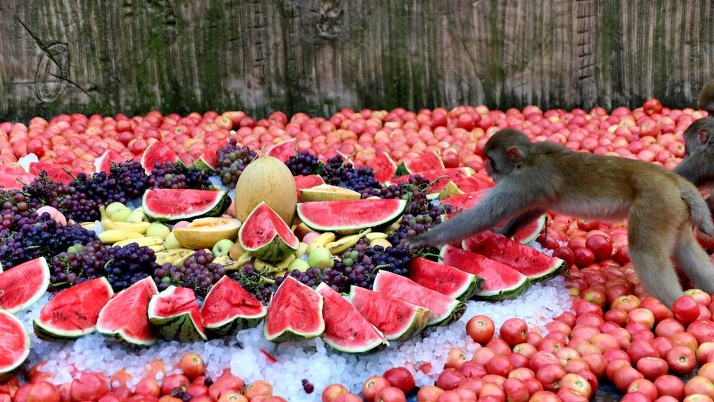 Festín de fruta