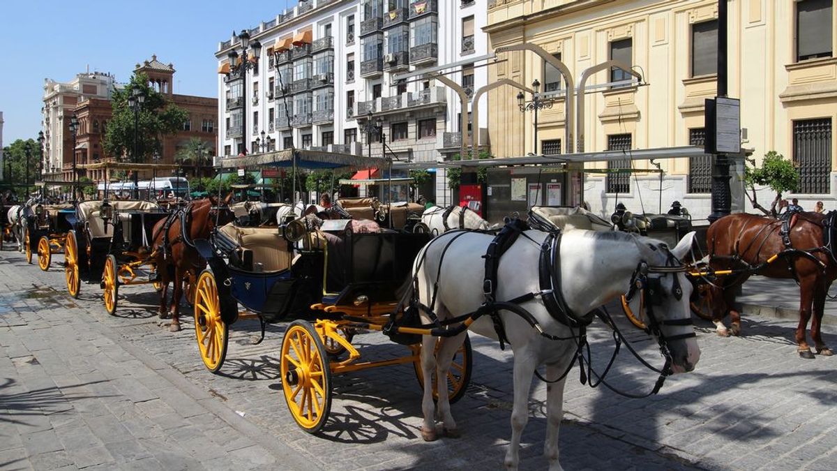 Denuncian al conductor de un coche de caballos de Sevilla por triplicar la tasa de alcohol