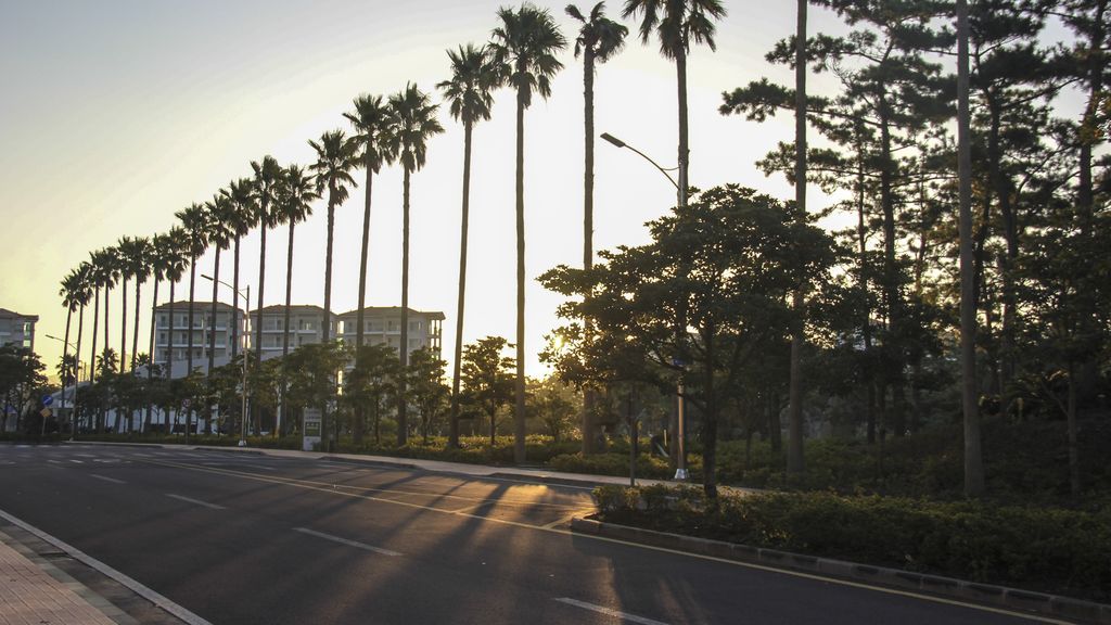 tree-sunshine-road-morning-city-cityscape-1073757-pxhere.com