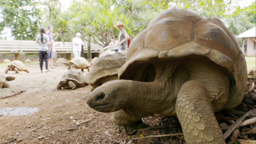 Isla Mauricio, el miércoles 22 de agosto en 'Viajeros Cuatro'.