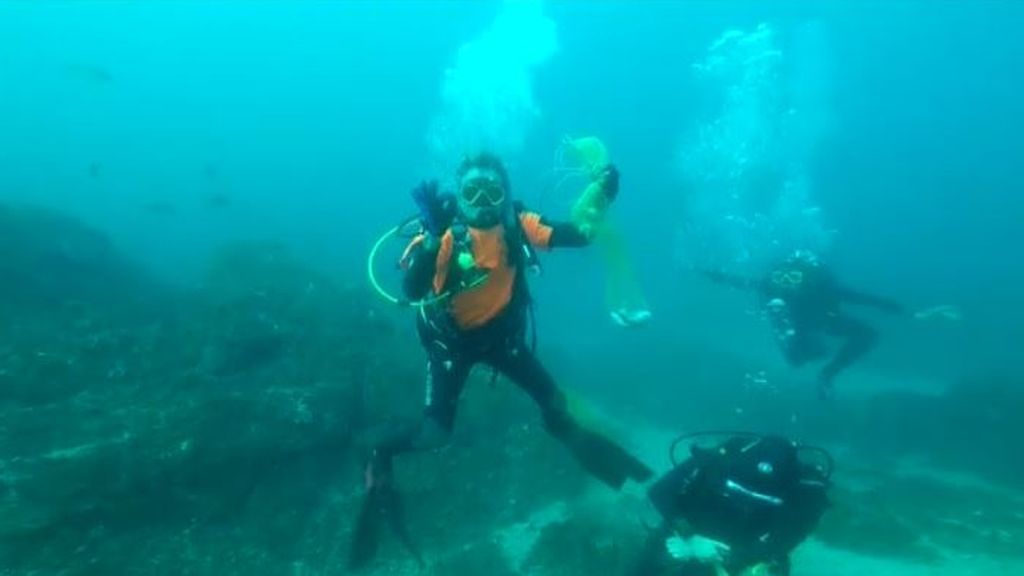 Una clase de submarinismo se convierte en una peligrosa misión para salvar a un tiburón