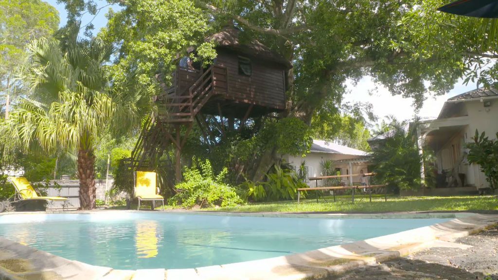 ¡En Mauricio puedes dormir en una casa -árbol en plena naturaleza!