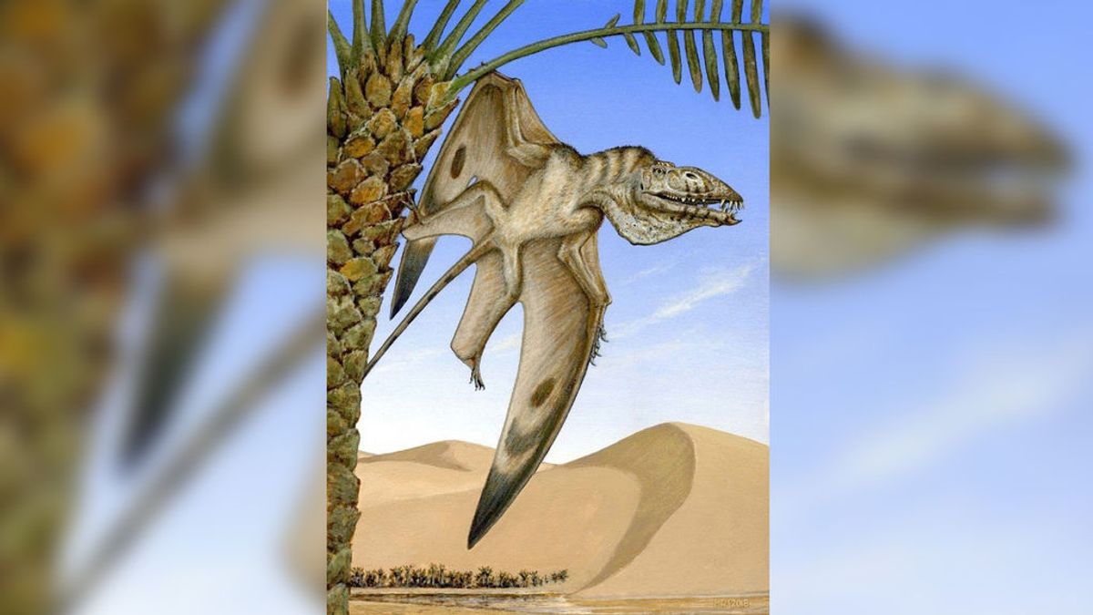 La nueva especie de pterosaurio triásico que ha sido descubierta en EEUU