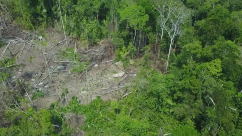 Una nueva tribu que vive aislada en la selva amazónica es localizada por un dron