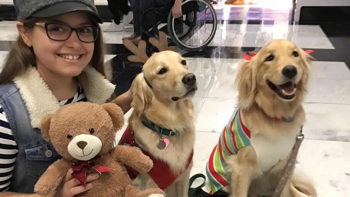 La compañía fiel de los perros a los niños enfermos en Texas enternece a los tuiteros