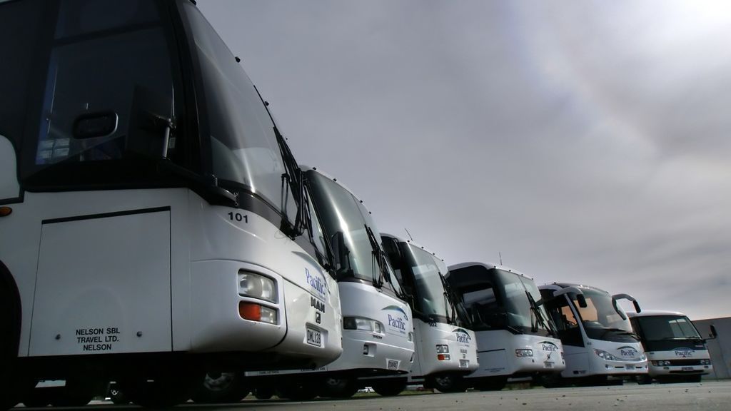 Pasajeros olvidados, "enfermos"... Así es el delirante viaje en bus que triunfa en redes