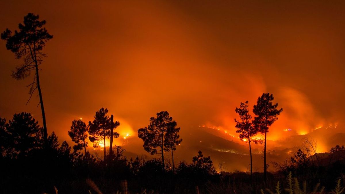 Las llamas avanzan en un incendio forestal que ha calcinado ya 50 hectáreas en Ourense