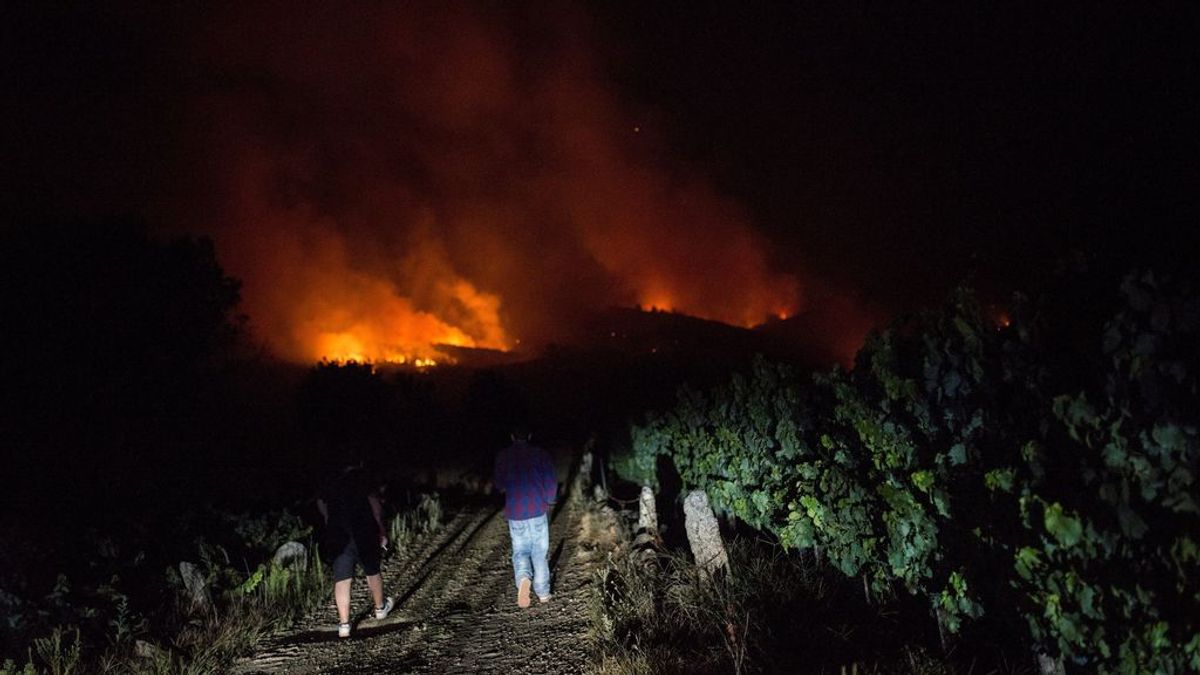 Herido un agente forestal en un incendio en Ourense