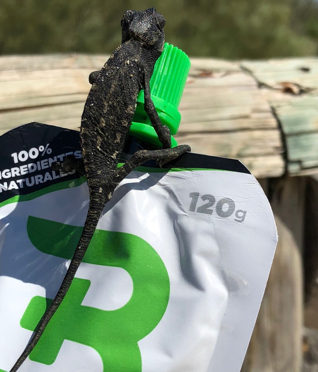 ¡Siente el poder de lo natural!