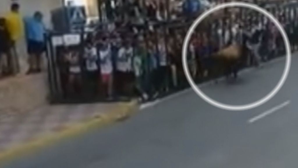 Un joven muere corneado en los encierros encierros de Fernán Caballero, en Ciudad Real
