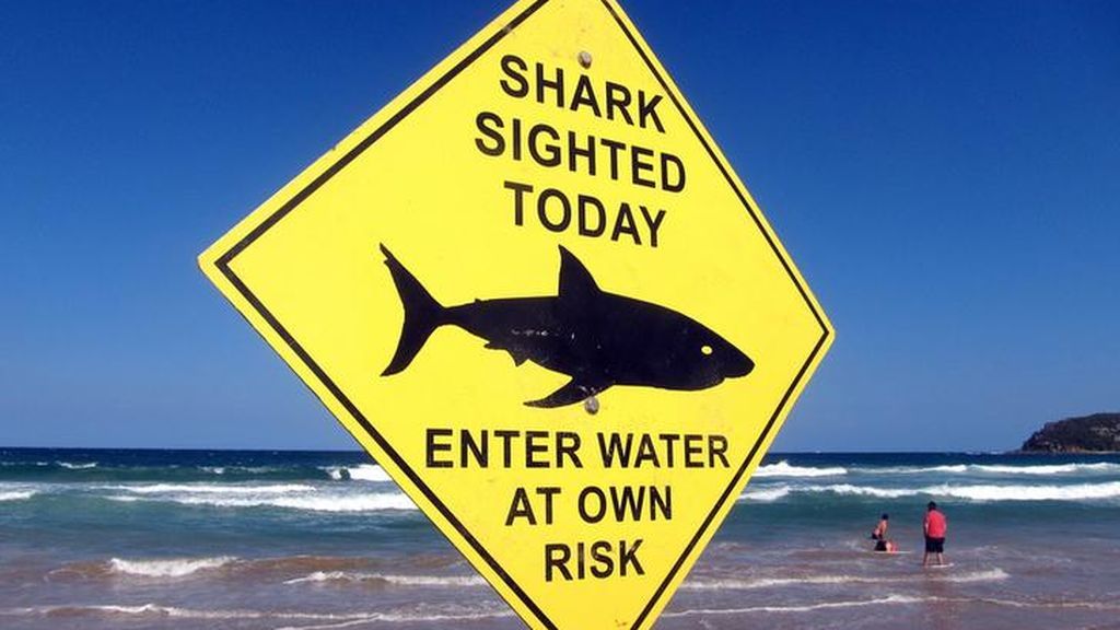 Un tiburón desata el pánico en una playa de Massachussetts