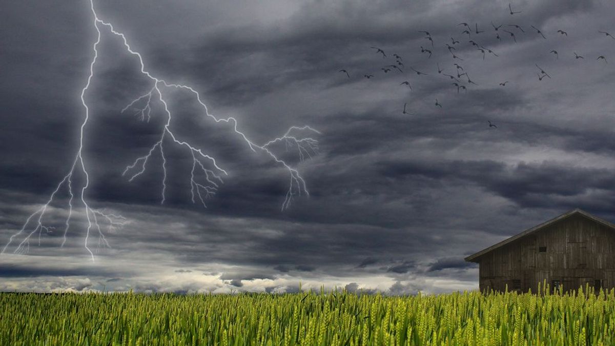 A pie o en el coche: consejos prácticos que debe saber para evitar los rayos durante una tormenta