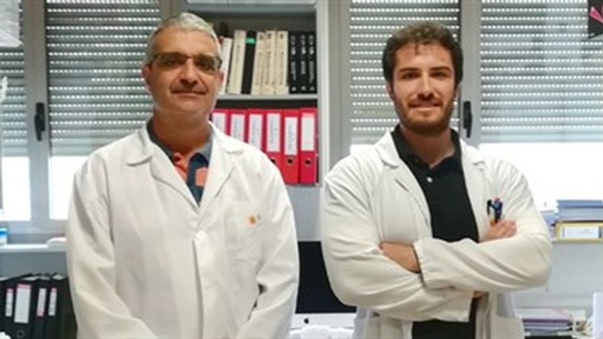 Científicos españoles descubren que un gen pretumoral puede convertirse en agente antitumoral según su localización