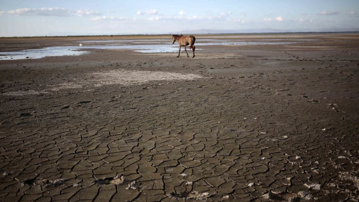 La sequía amenaza con dejar dos millones de hambrientos en Centroamérica