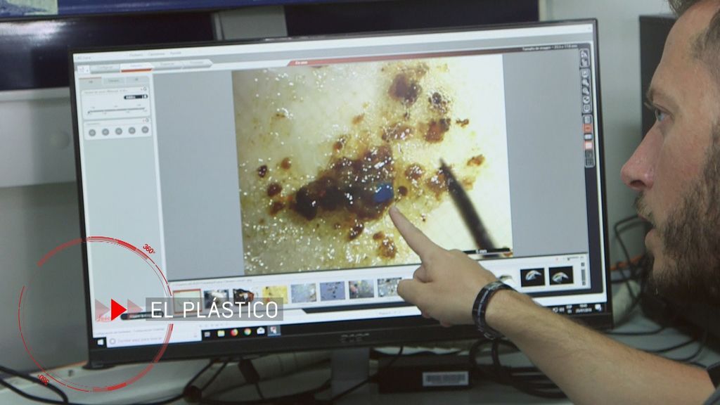La España 'plastificada', 'En el punto de mira'.