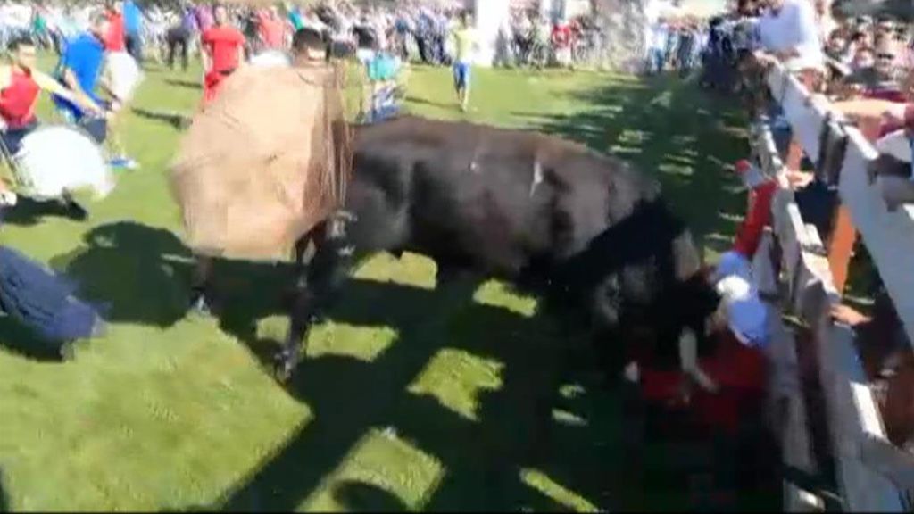 El Toro de la Vega arrastra a un chico tras empitonarle por una pierna