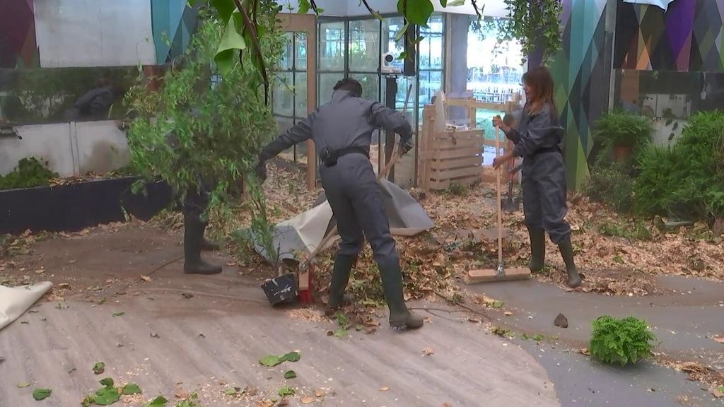 ¡Manos a la obra! Los VIP se ponen manos a la obra para dejar la casa impoluta