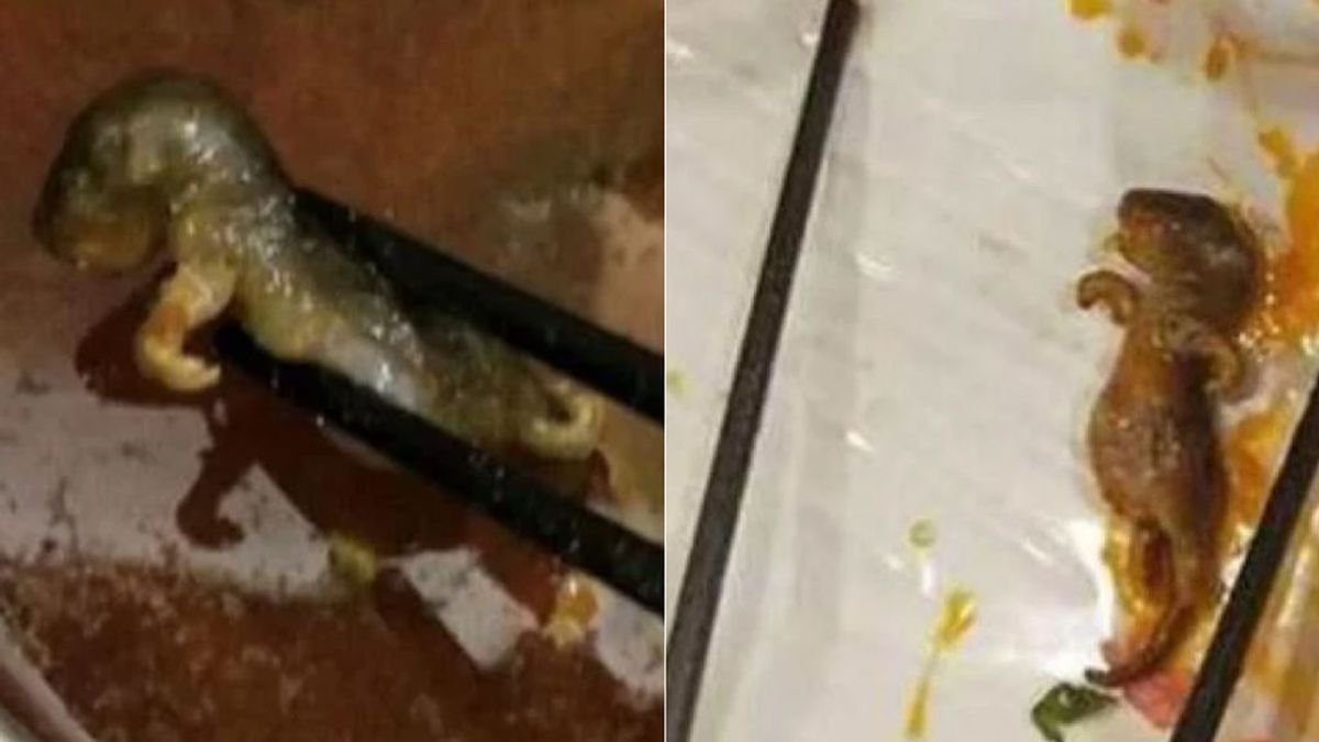 Un restaurante chino registra pérdidas millonarias después de que una clienta descubriese en la comida... ¡una rata hervida!