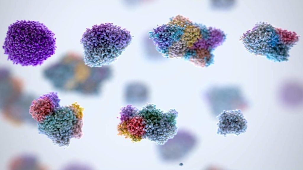 Una investigación descubre que la hipoxia se puede tratar tumores sin dañar el tejido sano Una investigación descubre que la hipoxia se puede tratar tumores sin dañar el tejido sano