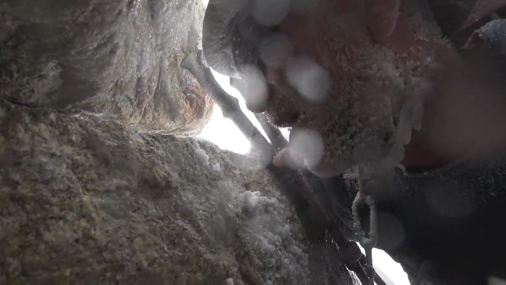 ¡Al borde de la muerte! Dos alpinistas españoles graban cómo son ‘absorbidos’ por una avalancha en Pakistán
