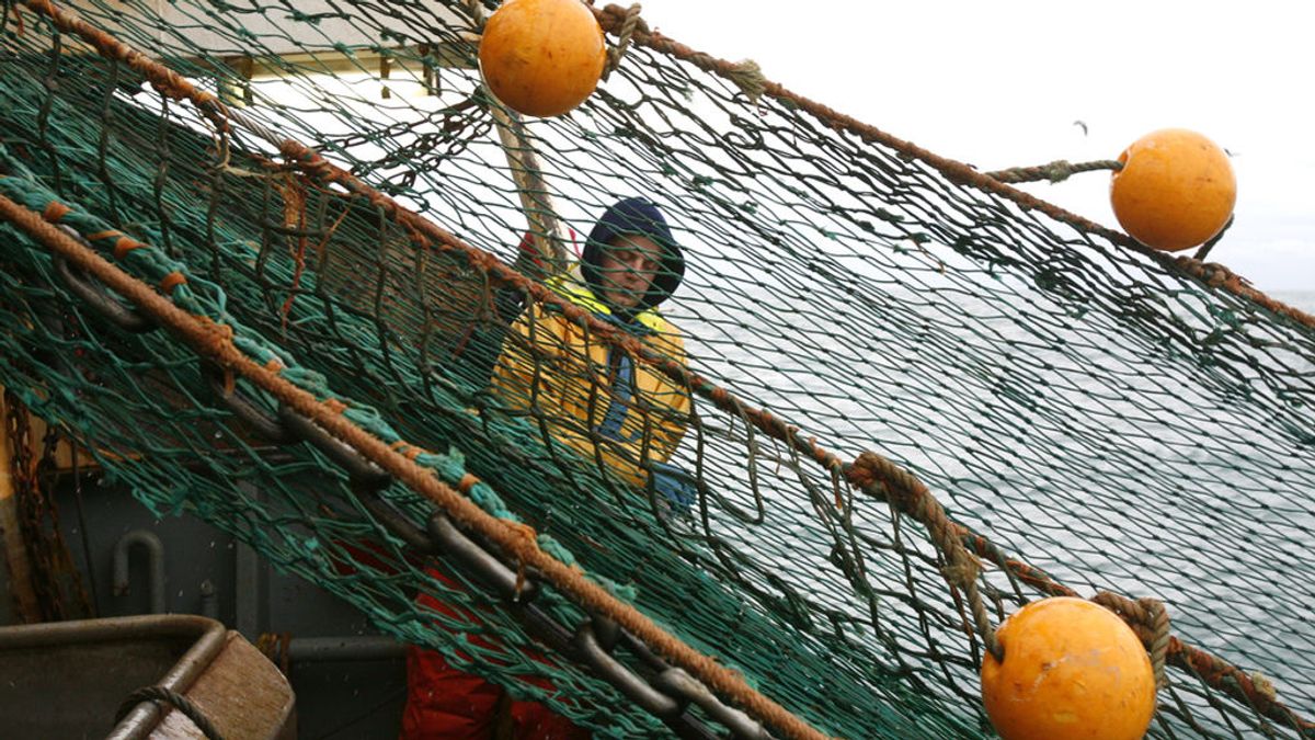 Más de un centenar de científicos exigen que el fin de la sobrepesca en el Mediterráneo
