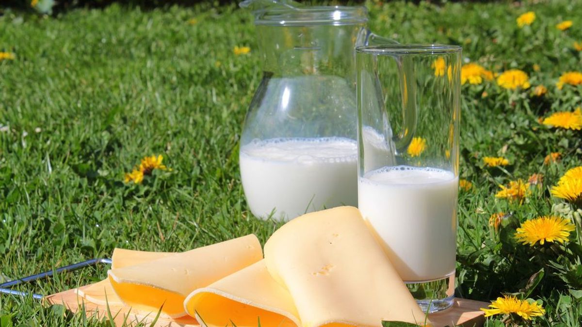 ¿De qué informará el nuevo etiquetado de los productos lácteos?