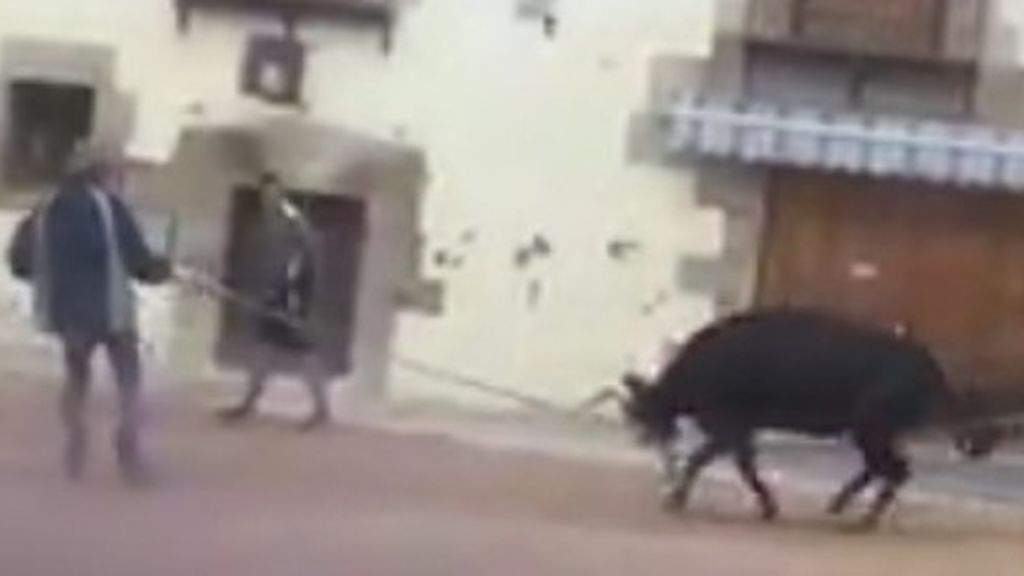 Denuncian el maltrato que sufre una vaquilla en unos festejos celebrados en Cuenca