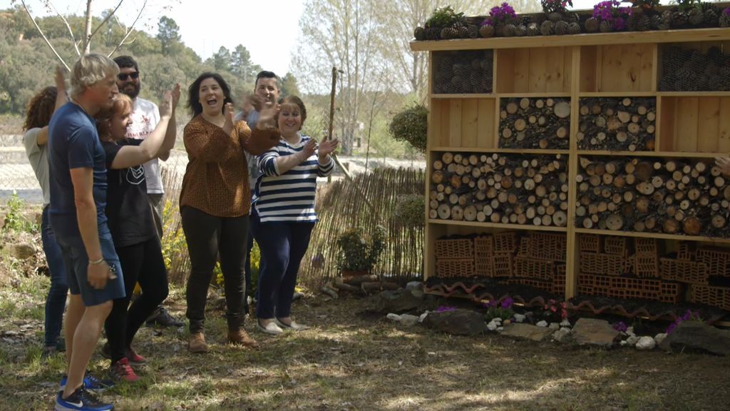 Dos hoteles de insectos para salvarlos: Calleja pone freno a la desaparición de las abejas en Las Hurdes Dos hoteles de insectos para salvarlos: Calleja pone freno a la desaparición de las abejas en Las Hurdes