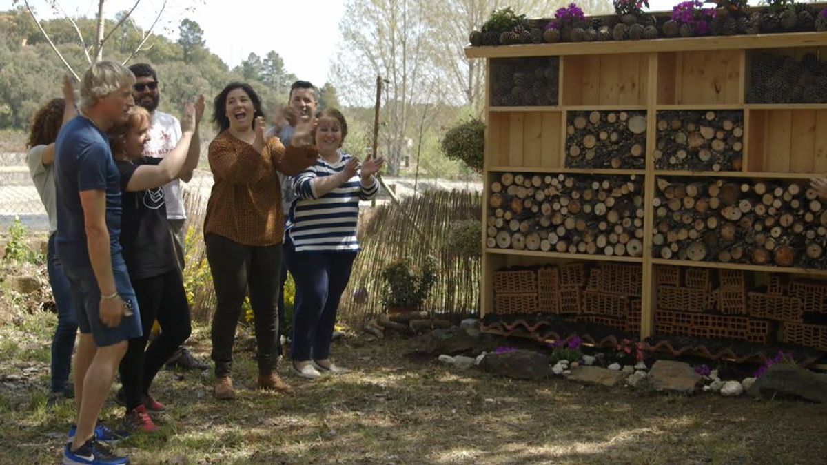 Dos hoteles de insectos para salvarlos: Calleja pone freno a la desaparición de las abejas en Las Hurdes