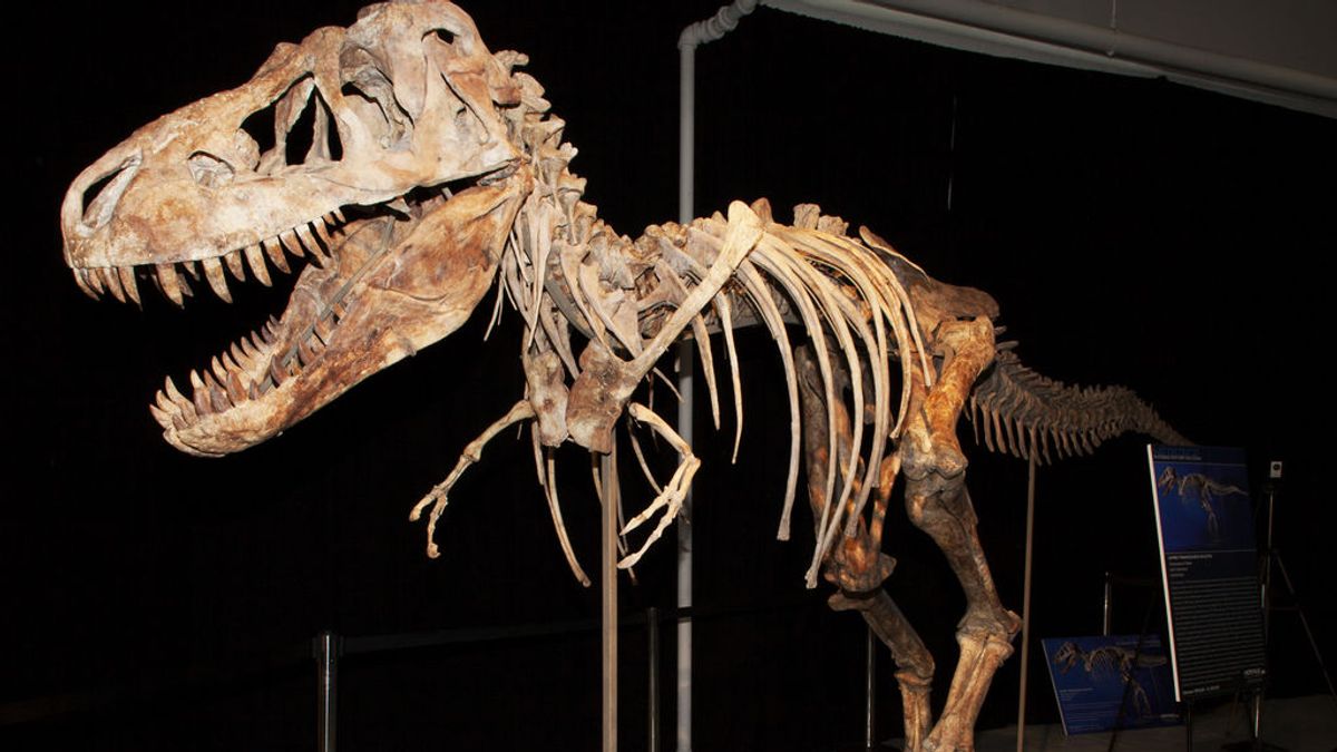 Millones de años después de su extinción, persiste el misterio sobre los dinosaurios