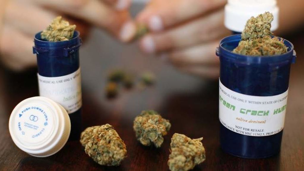Cannabis Cannabis