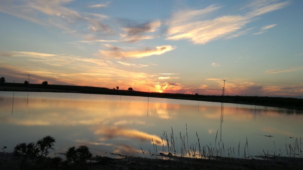 Sheila Landete Alcahut en Albacete