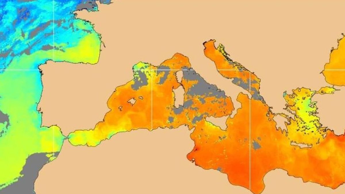 El Mediterráneo es un caldo (literal): los peligros de que esté 5ºC más caliente de lo normal