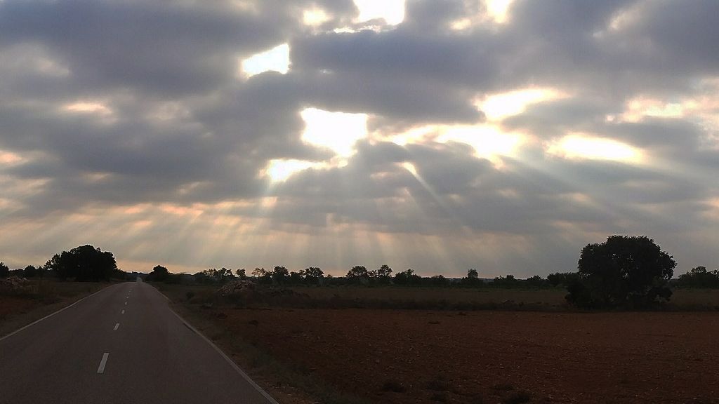 Rubén Alcázar Ortega en Casas de Fernando Alonso, Cuenca
