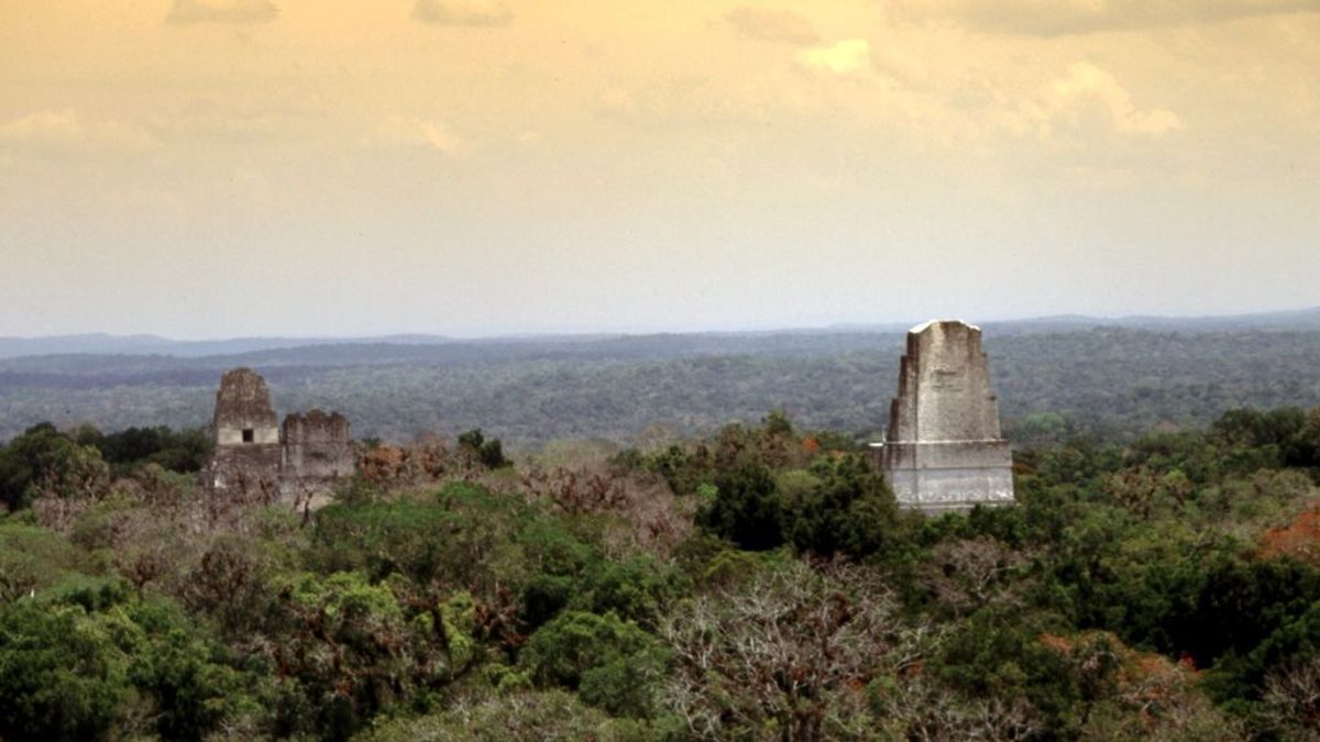 Un estudio permite conocer más sobre la población maya: alta densidad de población y campos agrícolas