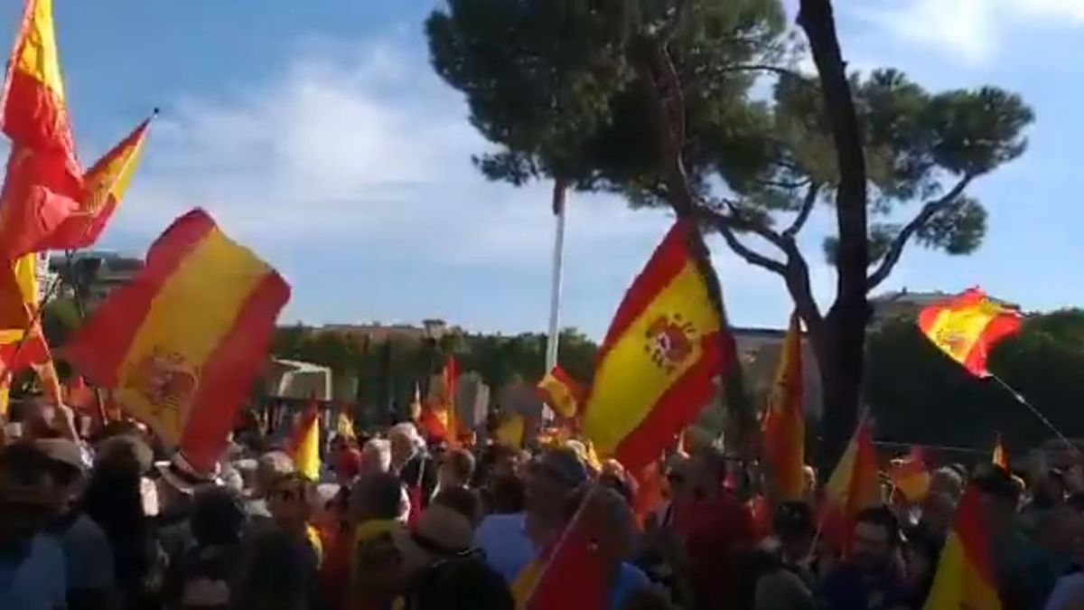 Miles de personas se manifiestan en la plaza colón contra Pedro Sánchez