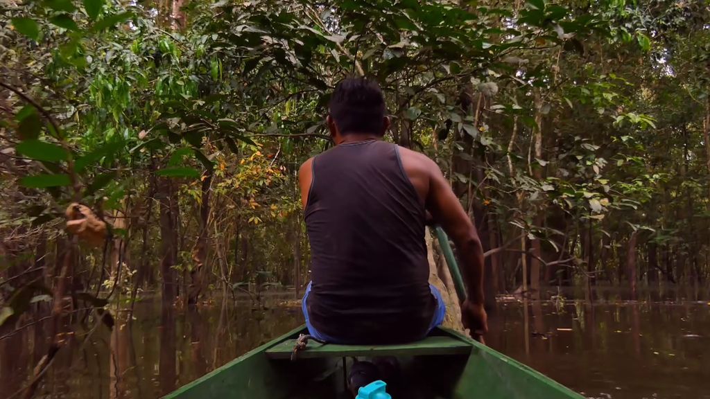 Enigma en el Amazonas: testigos alertan de unas inquietantes luces en mitad de la jungla