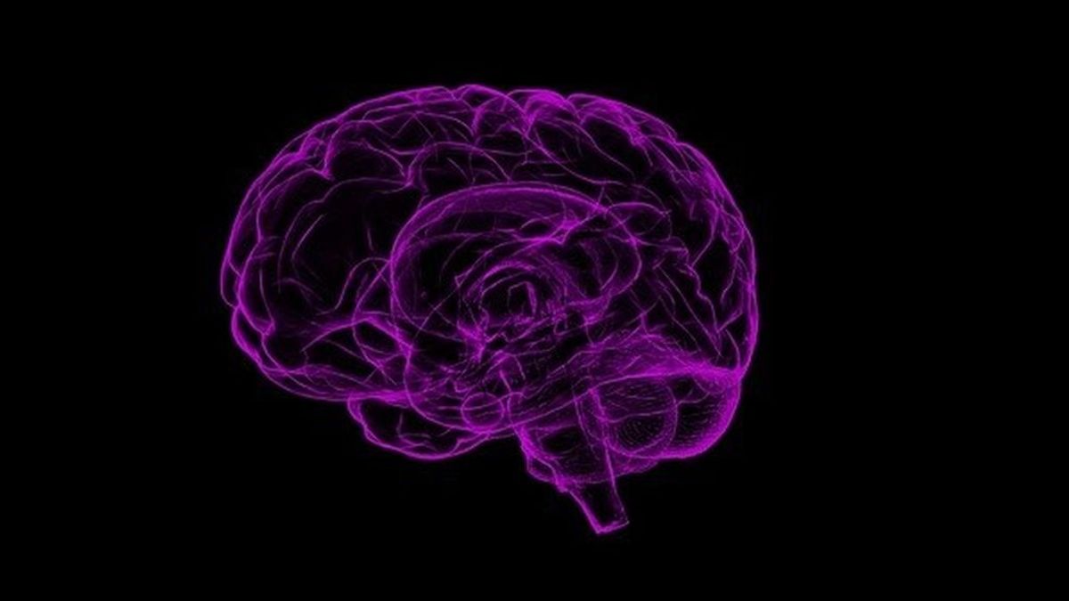 Las resonancias magnéticas revelan cómo se comporta el cerebro ante una comprar
