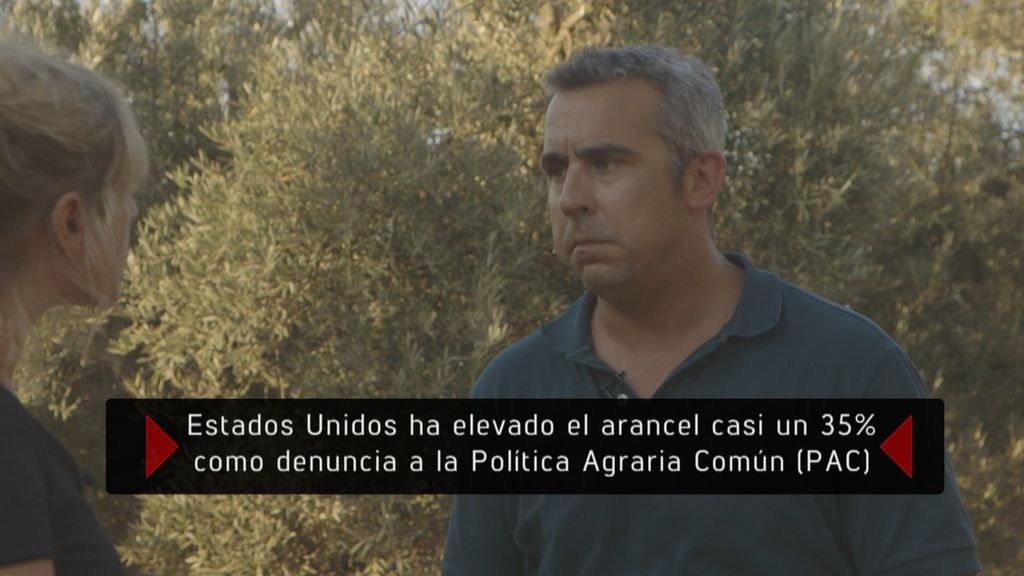 El arancel impuesto a los productos europeos afecta a la aceituna.