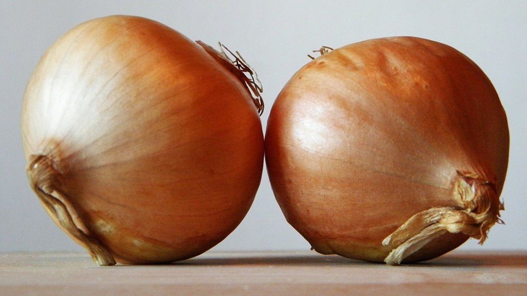 La cebolla... ¿cerca o lejos del frigorífico? La cebolla... ¿cerca o lejos del frigorífico?